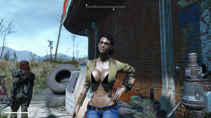 Fallut 3 Big breasts