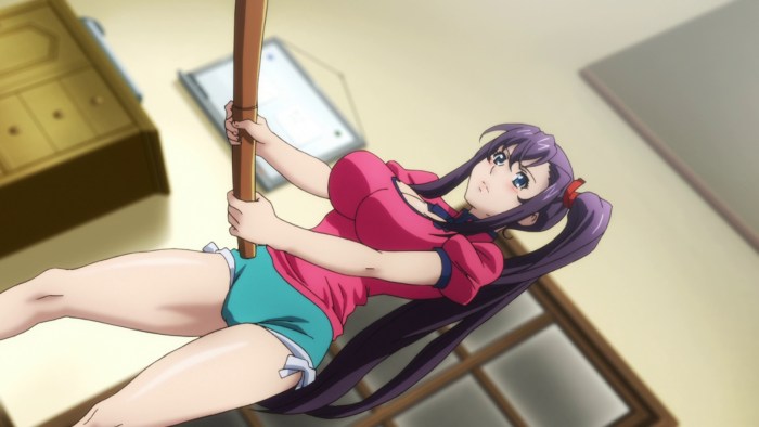 Maken-ki! (Anime 2011)