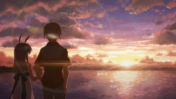 The dawn of the youth of anime