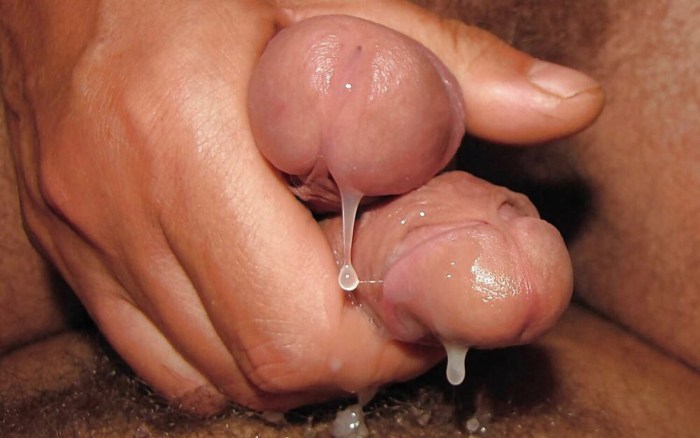 Dicks cum on each other