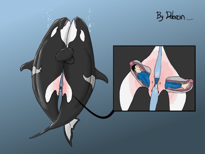 Vagina Dolphin Hentai