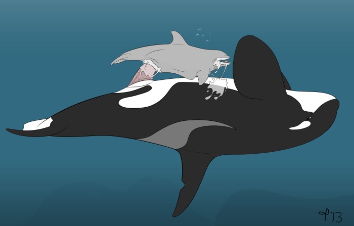 Hentai Kimly and Dolphin Yartz