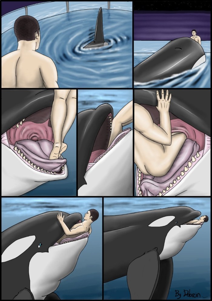 Hentai Dolphin Kosatka