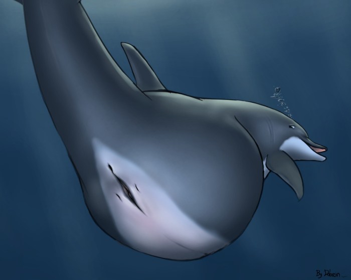Vagina Dolphin Hentai