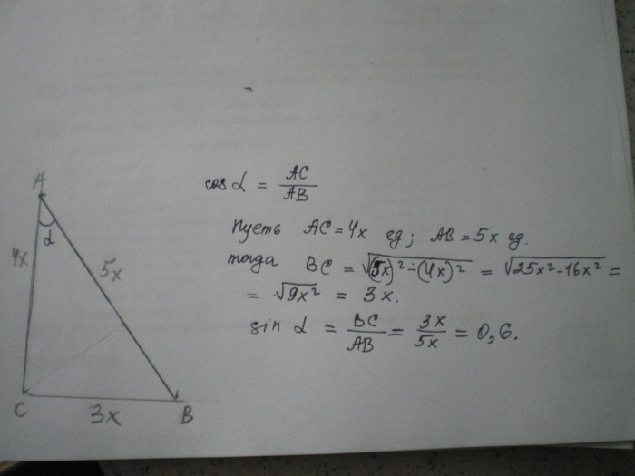 Cosine of an acute angle 45 triangle ABC