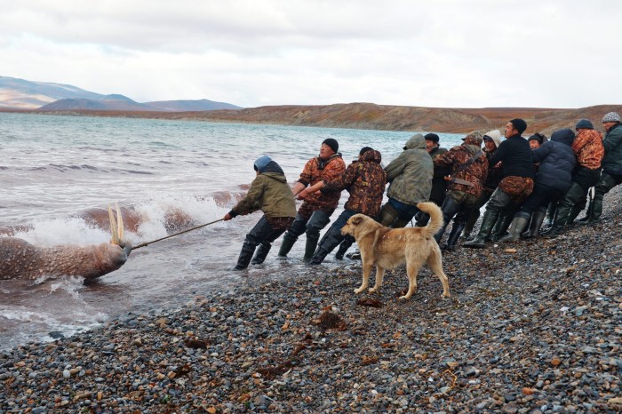 Morage -free fishing on Chukotka