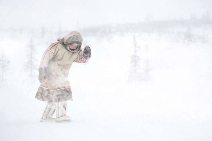 Purge in the tundra