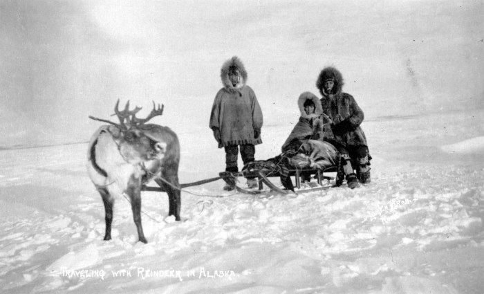 Finnish deer harness 19th century