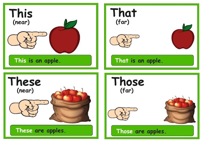 Indication pronouns this that those
