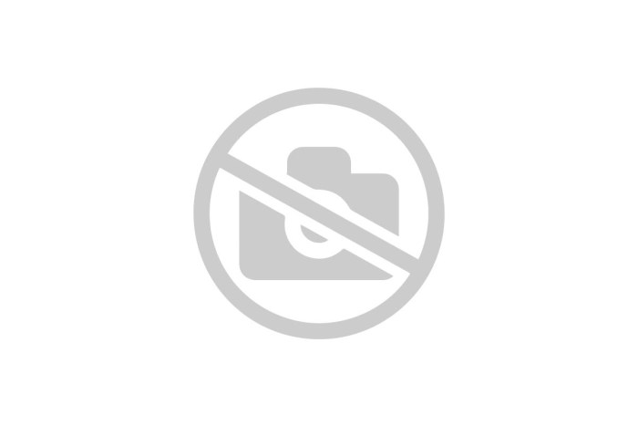 Panasonic NN-CD997s