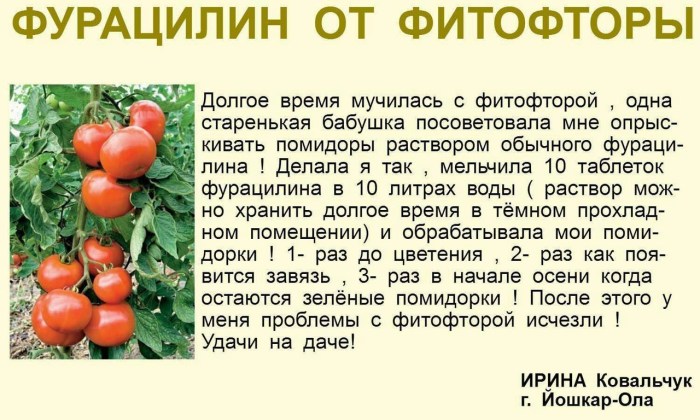 Interesting advice to gardeners