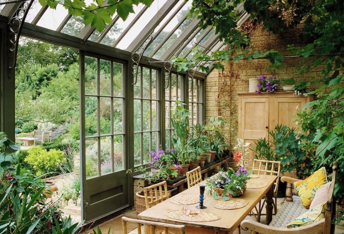 "Winter Garden" Orange Paecston