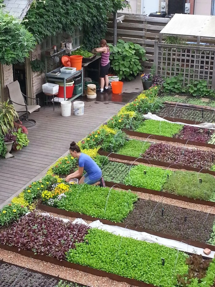 The beds of the perfectionist