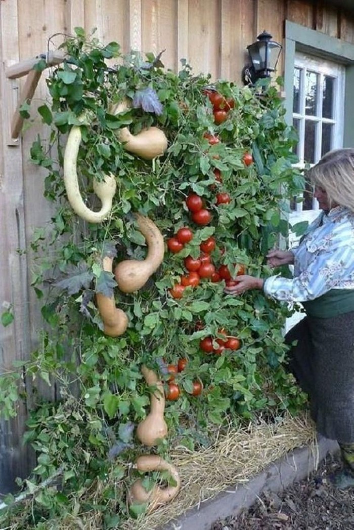 Support for decorative pumpkin