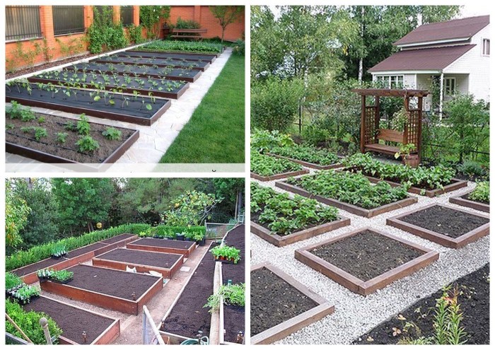 Planning of the beds in the garden 1 hundredths