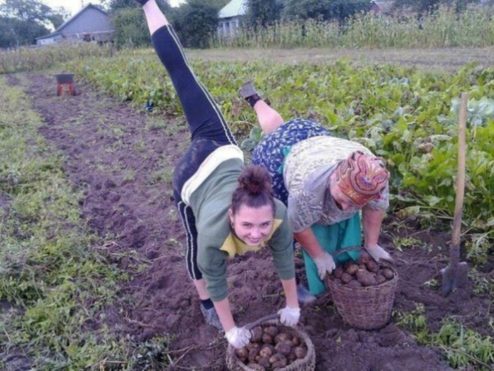 Jokes about the garden and cottage