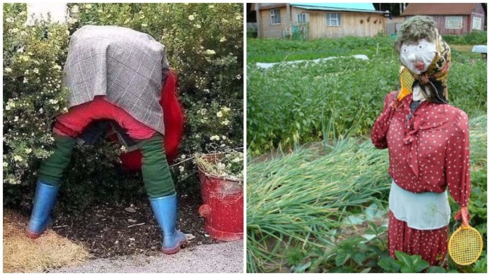 Scarecrow in the country cool