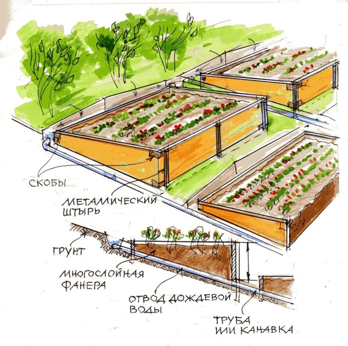Terrance of the site by beds