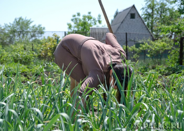 Women on the racing of the garden