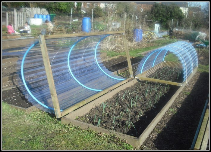 Greenhouse and beds on the site