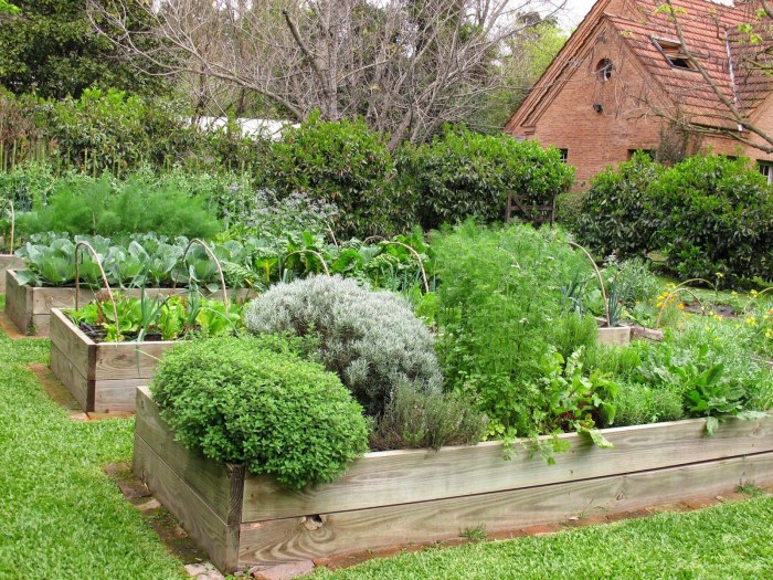 The lawn in the garden