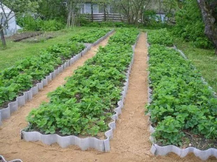 The beds are covered with slate