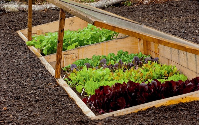 Corps for greenery