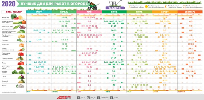 Planting table of garden plants 2021