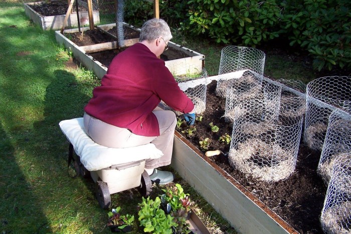 Country life hacks for the garden and garden