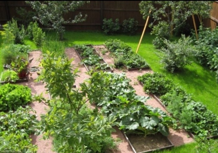 Permoculture is the neighborhood of vegetables