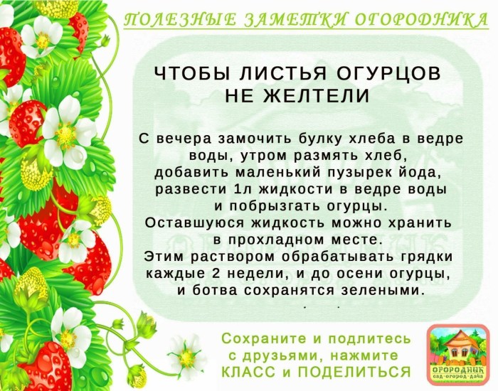 Tips for gardeners