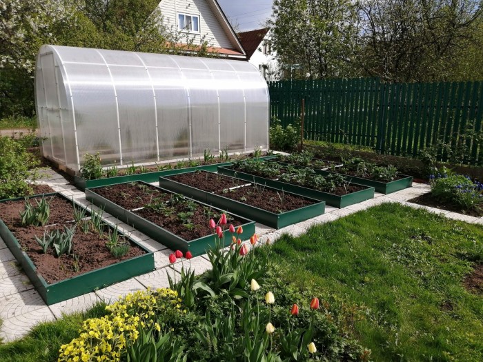 The greenhouse in the garden