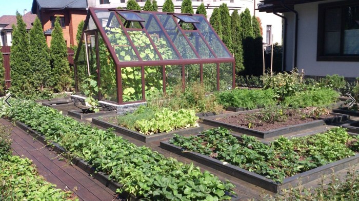 Decorative garden with a greenhouse