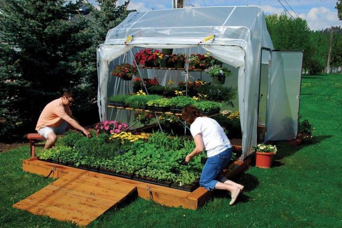 Mini greenhouse