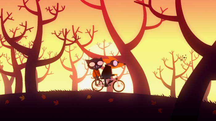 Dark forest background