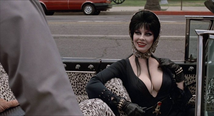 Elvira: Lord of darkness film 1988