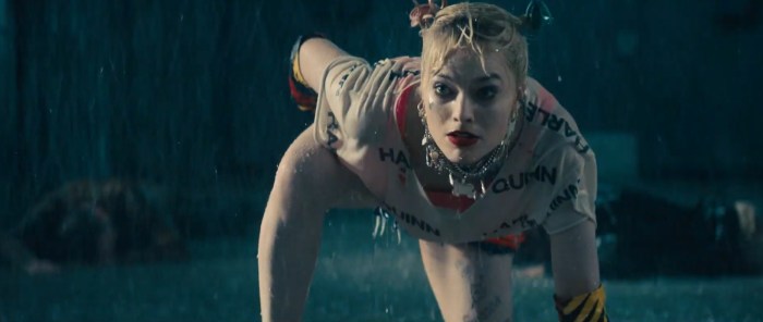 Harley Queen Margot Robbie Birds