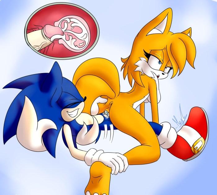 Sonic Chris and Talez Hentai