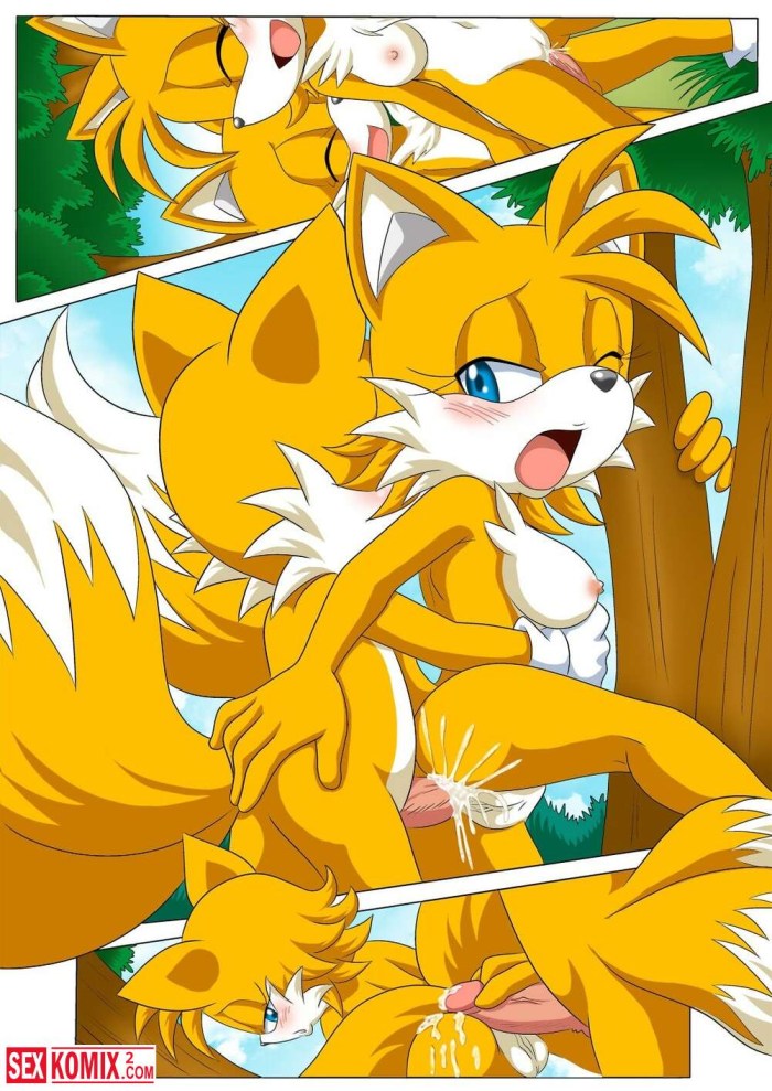 Miles Tails Prower Mobius Unleashed Palcomix