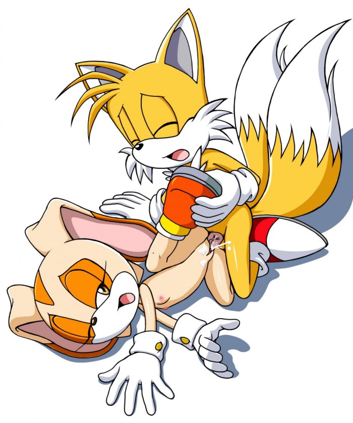 Rouge The Bat X Tails Sex "DigitalDomain123"