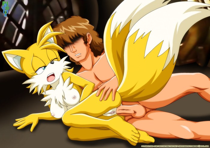 Senshion NSFW Gay Sonic