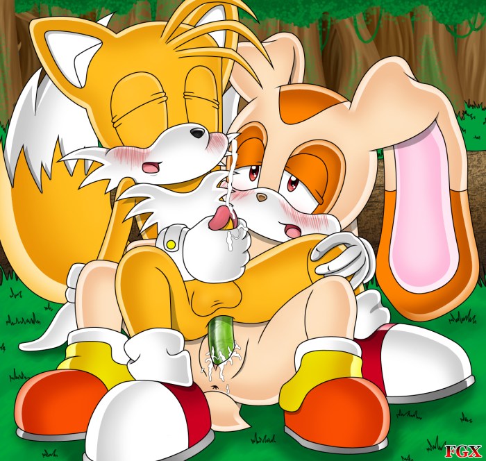 Sonic Crimm Futanari Comics