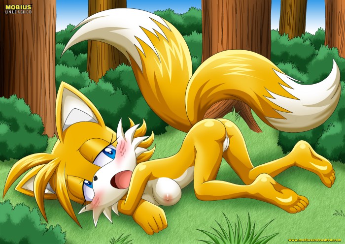 Hentai Sonic 3D Big Tits