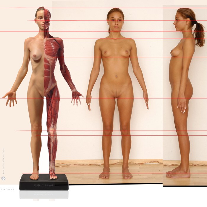 Silicone dolls transsexuals