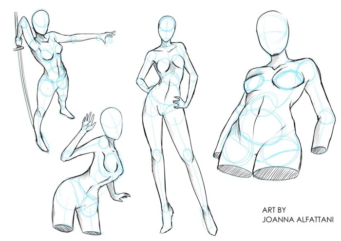 Anatomy of the girl