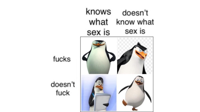 Knock Knock Penguin meme