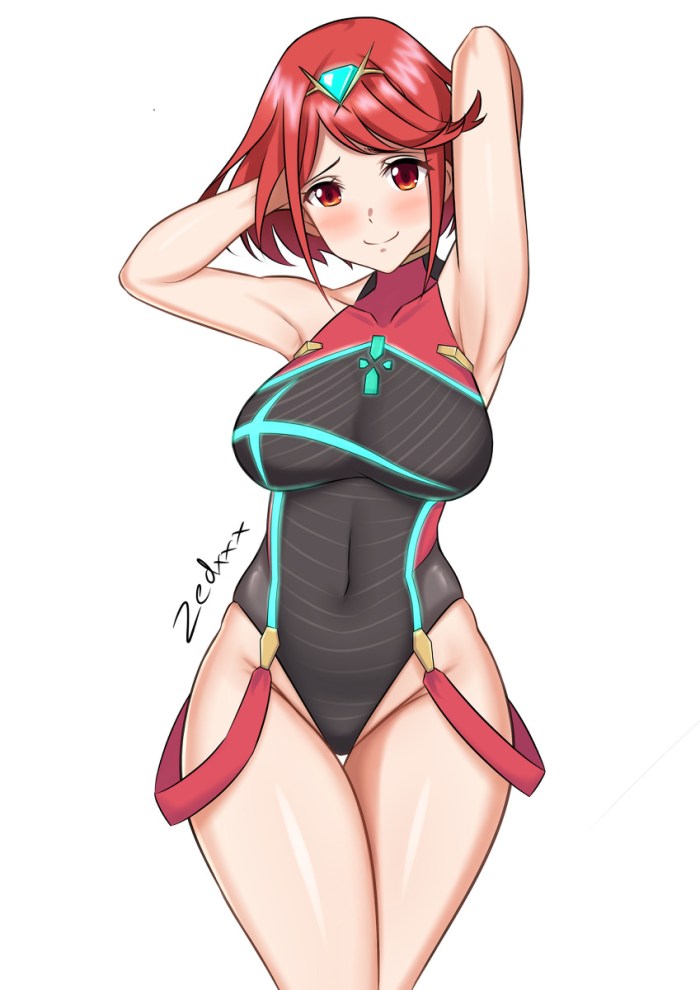 Xenoblade Chronicles 2 Homura Swimsuit Hentai