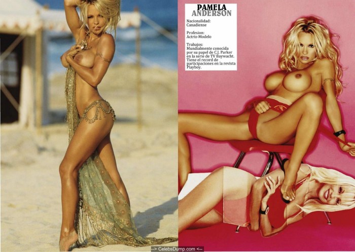 Pamela Anderson 1994 Playboy