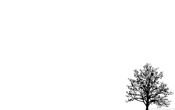 White background