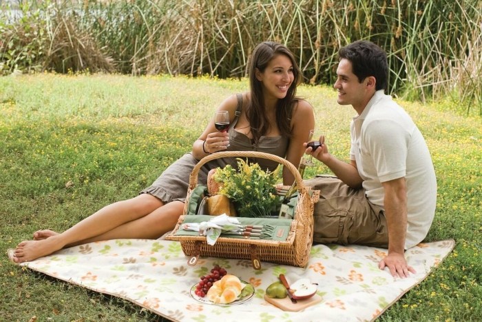 A guy with a girl on a picnic